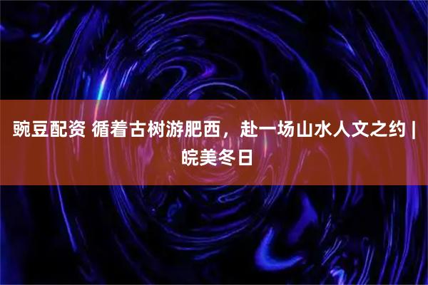 豌豆配资 循着古树游肥西，赴一场山水人文之约 | 皖美冬日