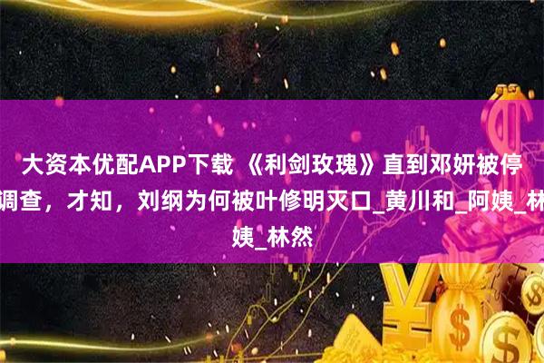 大资本优配APP下载 《利剑玫瑰》直到邓妍被停职调查，才知，刘纲为何被叶修明灭口_黄川和_阿姨_林然